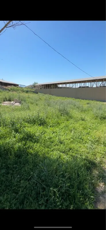 Ferma sotiladi arzon parkentda — фото 4