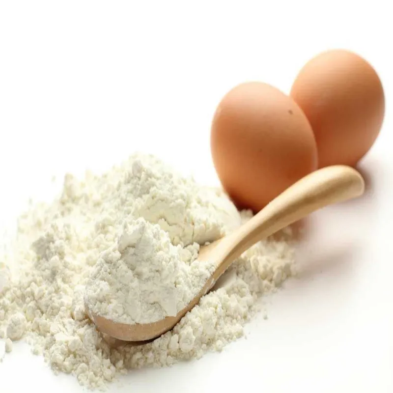 Сухой яичный белок - Альбумин (Egg white powder)