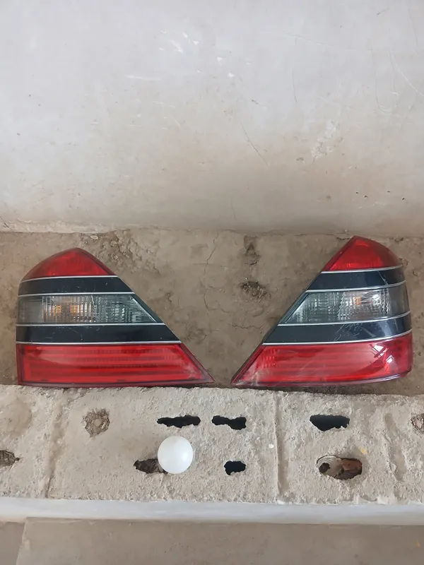 mersides benz orqa farasi