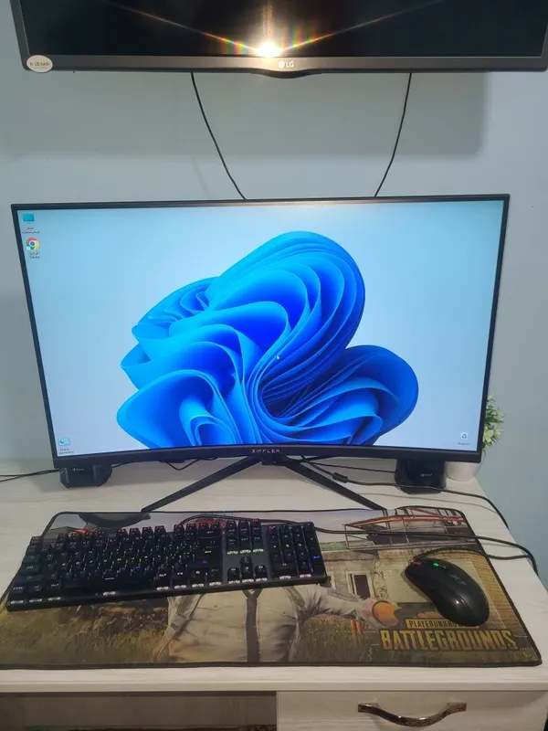 Ziffler 32 avanna