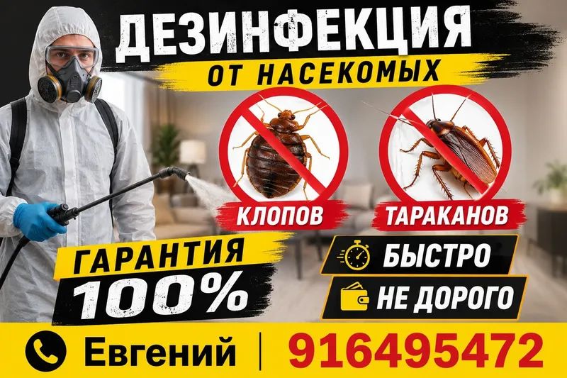 Дезинфекция от насекомых