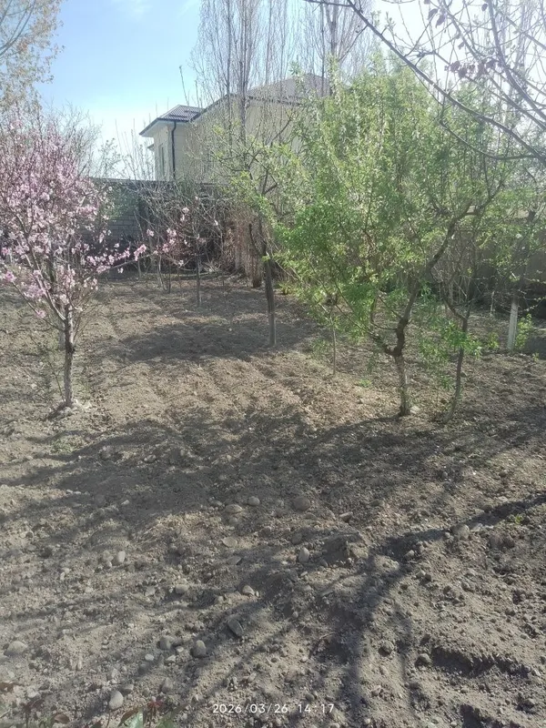 Fargona shaxar Beshbolada 3 so tix er sotiladi — фото 3
