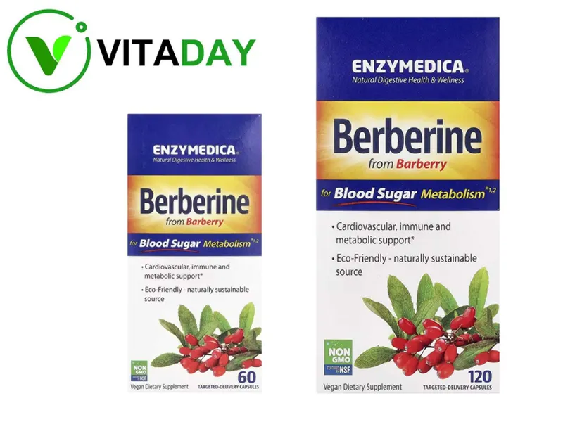 Enzymedica Berberine berberin Берберин
