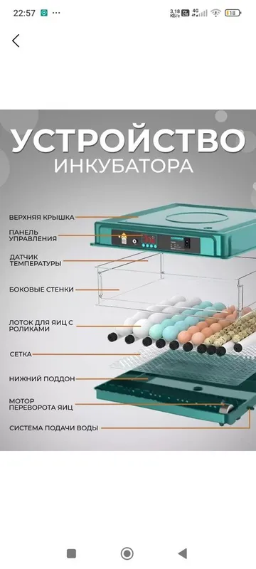 Инкубатор мини жужа учун — фото 2