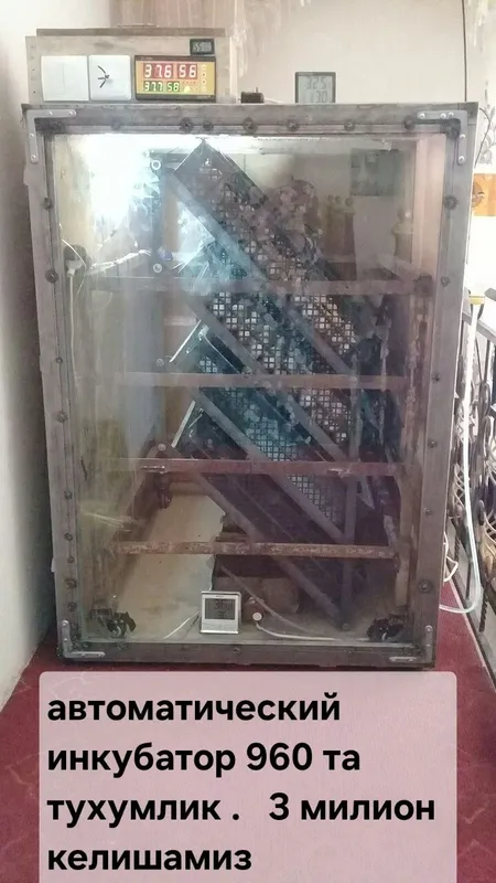 Инкубатор 960 та тухумга — фото 1