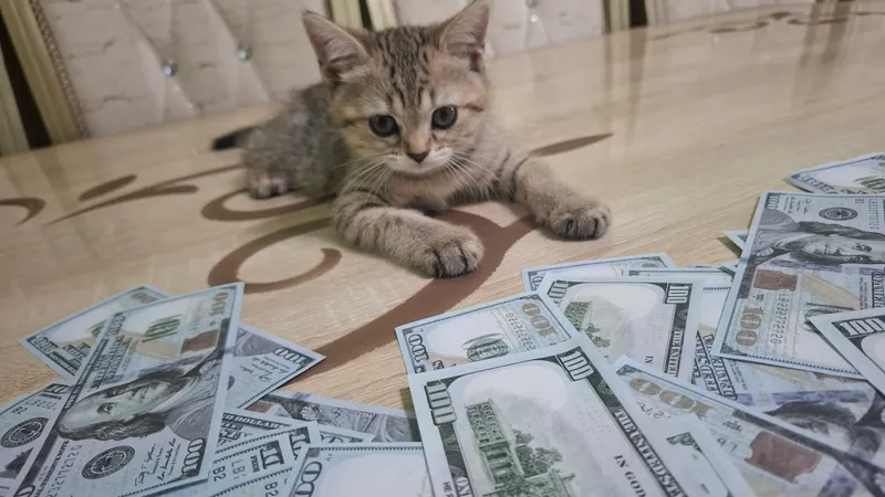 Sotiladi Shinshella 1 mln 4