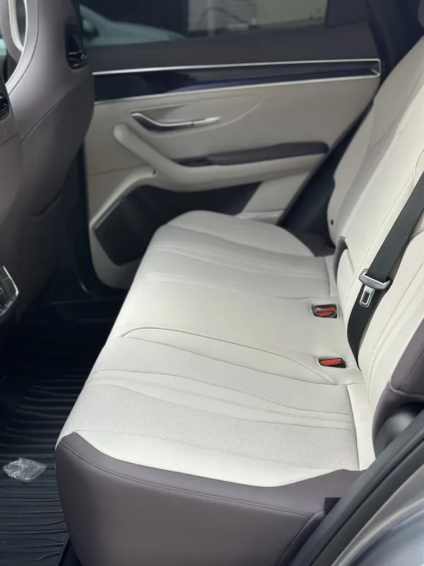 Byd champion smart 605 full 2025 — фото 4