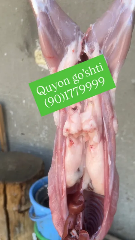 Quyon go’shti — фото 1