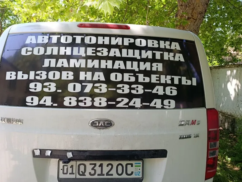 Танеровка солнце зашитка