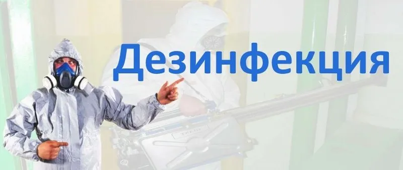 Dezinfeksiya. Дезинфекция хизмат. Xashorotlarni yoq qilish xizmati — фото 4