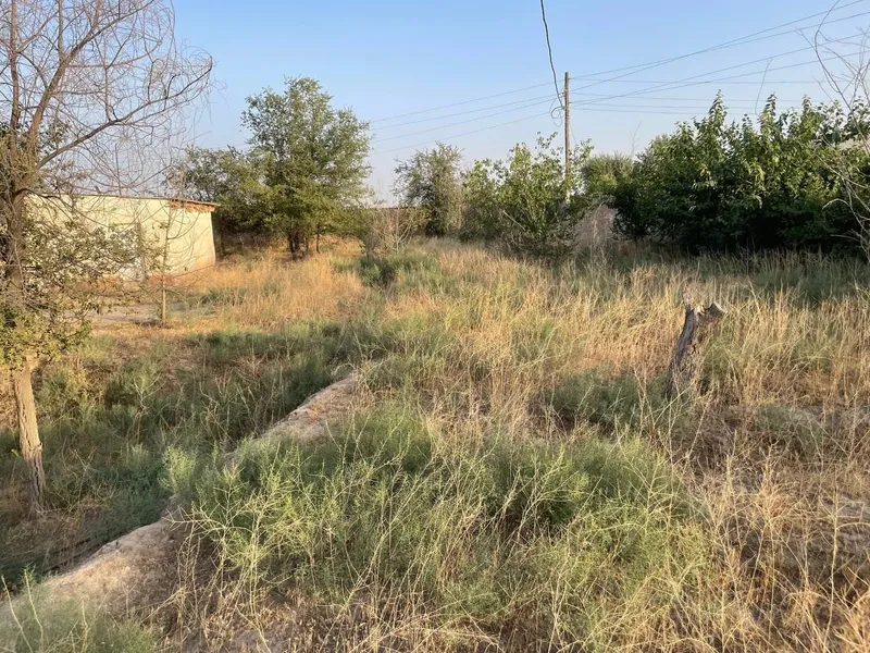 Ko‘kdala tumanida 50 sotix yer sotiladi AZS uchun ideal joy — фото 2