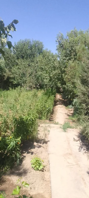 Продаеться дача в алмалыке в черте города — фото 3