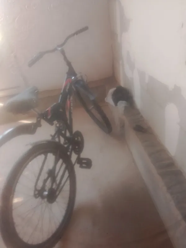 velosiped 3 velosiped 3