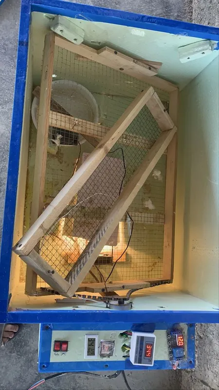 Inkubator sotiladi 6 Inkubator sotiladi 6