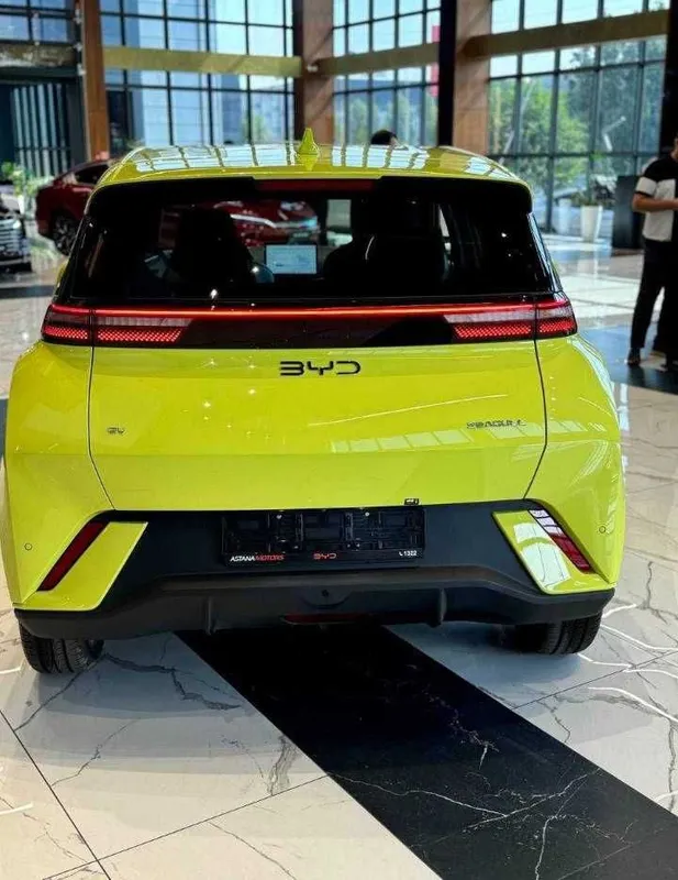 Byd Seagull naxt va halol nasyaga beriladi 4