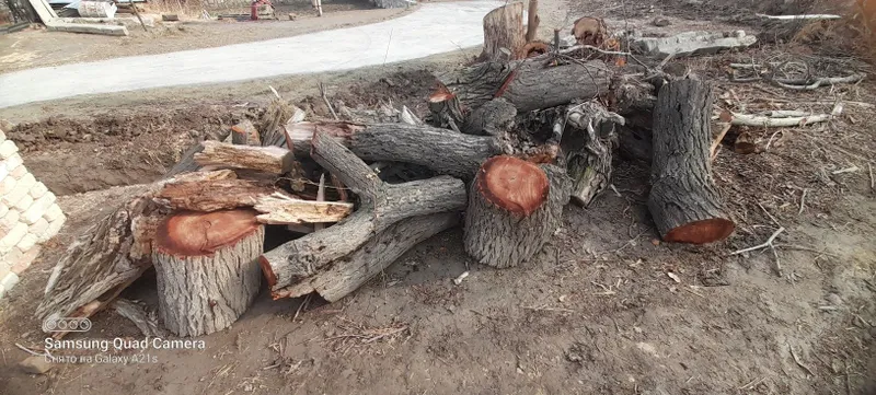 Утин сотилади срочна — фото 2
