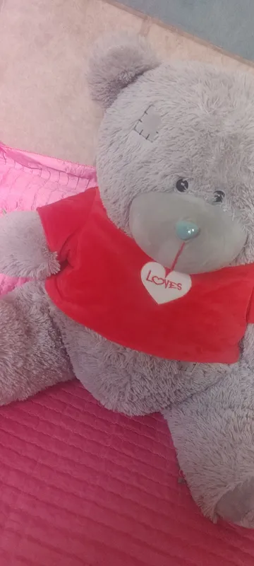 teddy ayiqchasi chiroyli va yangi 55sm 3 teddy ayiqchasi chiroyli va yangi 55sm 3