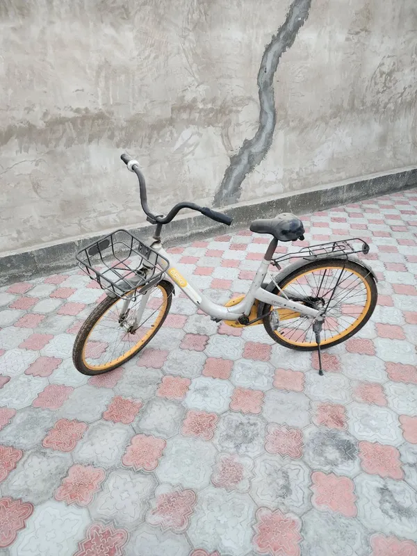 veloseped — фото 1