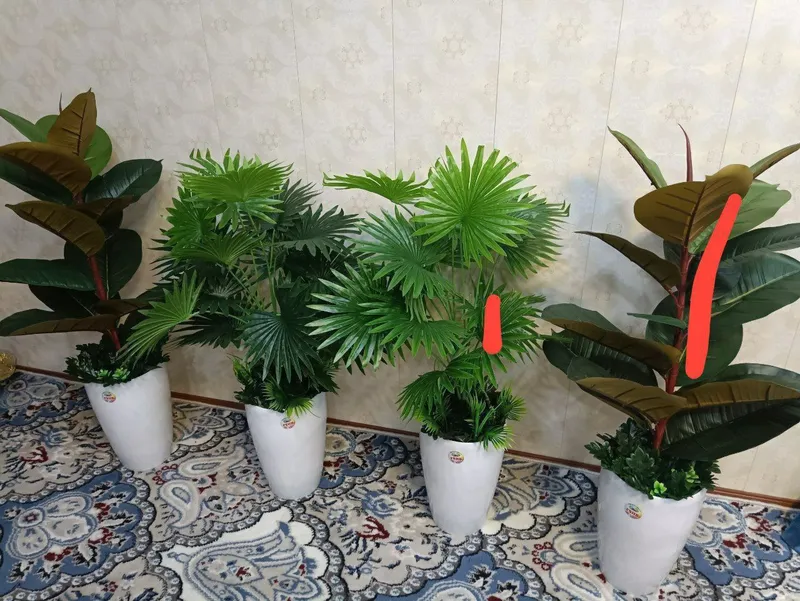 Катта суний гуллар оптом нархларда — фото 3