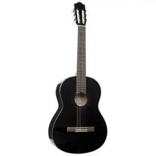 Gitara C40 2 Gitara C40 2