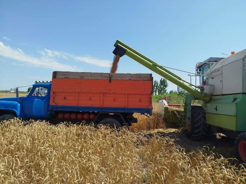 Самосвал ГАЗ 53, срочно сотилади, нархини 60дан келишилади 1 Самосвал ГАЗ 53, срочно сотилади, нархини 60дан келишилади 1