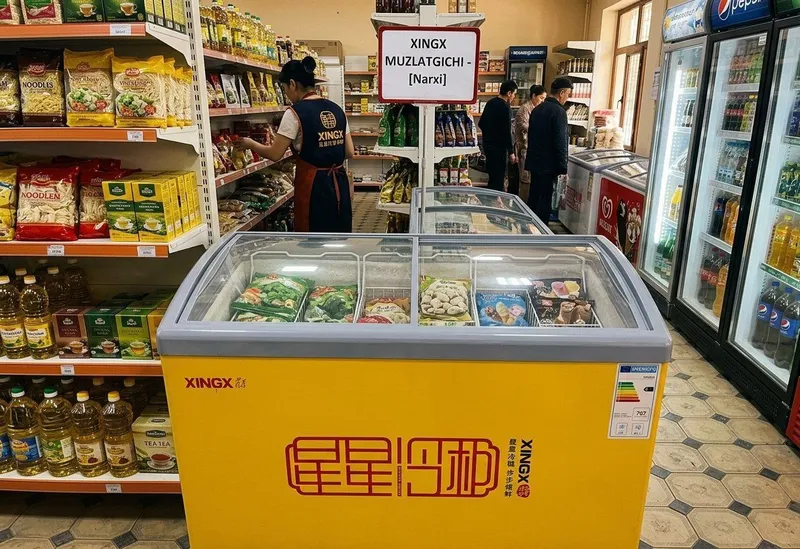 Morozolnik yangi Morozolnik yangi