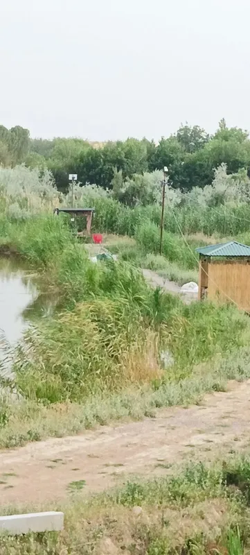Рыбалка с огромной рыбой