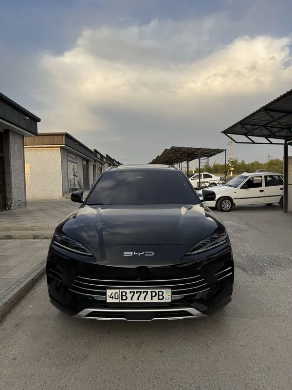 Byd chempion 150 gibrid