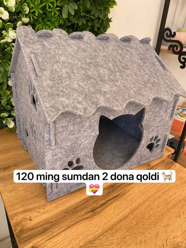 Mushuk uchun barcha narsalar 10