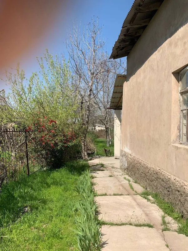 Dacha 15,83 sotix. 3