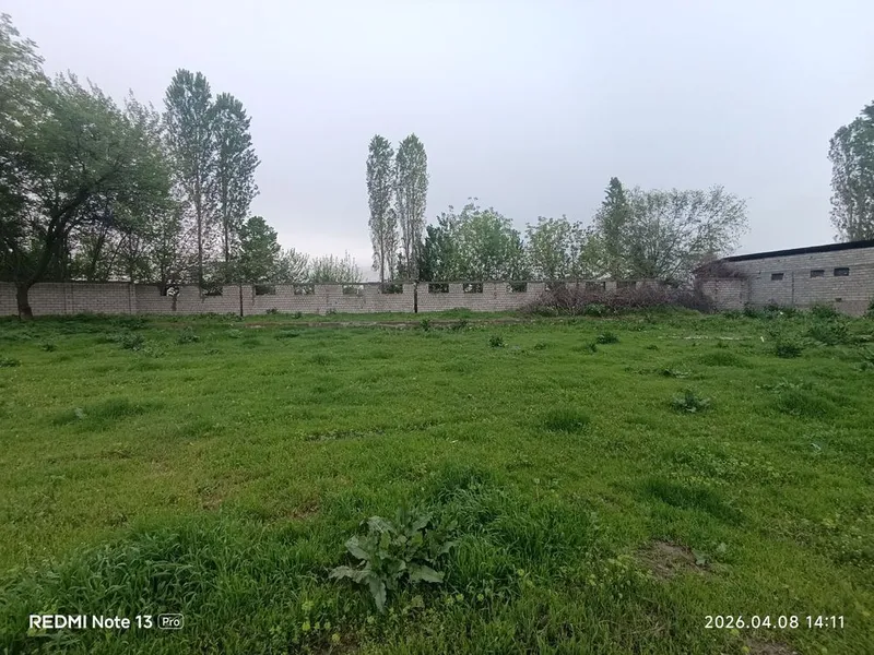 Срочно продам 31 сотку земли недалеко от ташкента 8
