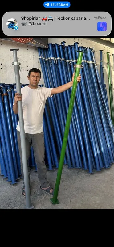 Arendaga Apalfka Stoyka Lesa beramiza 5 Arendaga Apalfka Stoyka Lesa beramiza 5