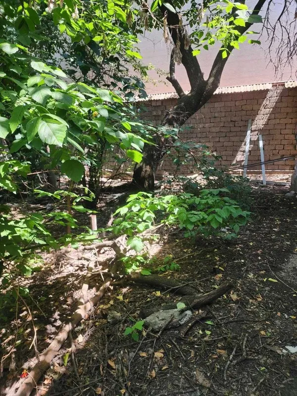 Продам участок 6 соток в Яккасарайском районе, фасад 25 метров 3 Продам участок 6 соток в Яккасарайском районе, фасад 25 метров 3