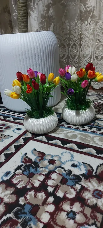 LOLA STOL GULLARI