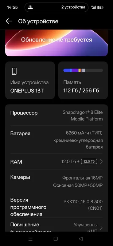Oneplus 13T 12/256