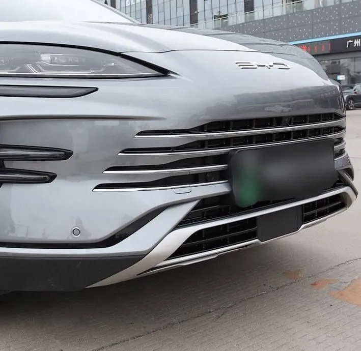 Защитная сетка радиатора — BYD Champion EV/DMI 5 Защитная сетка радиатора — BYD Champion EV/DMI 5