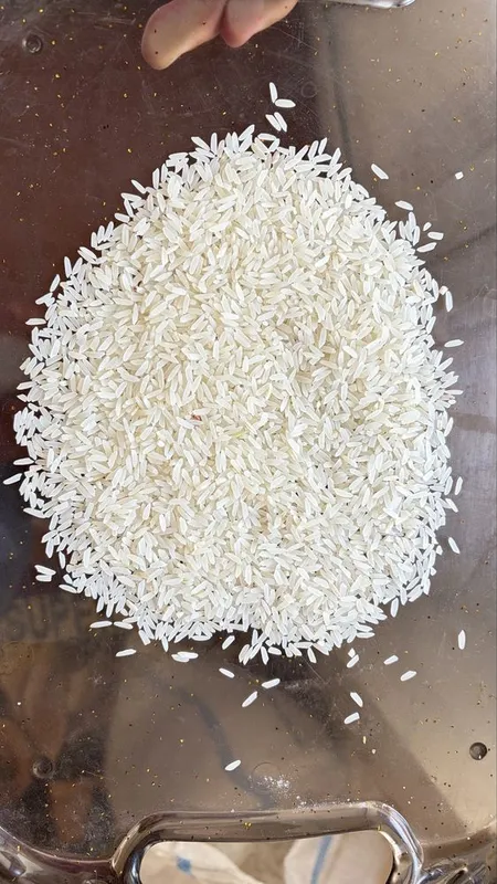 Sholi lazer gurunch — фото 1