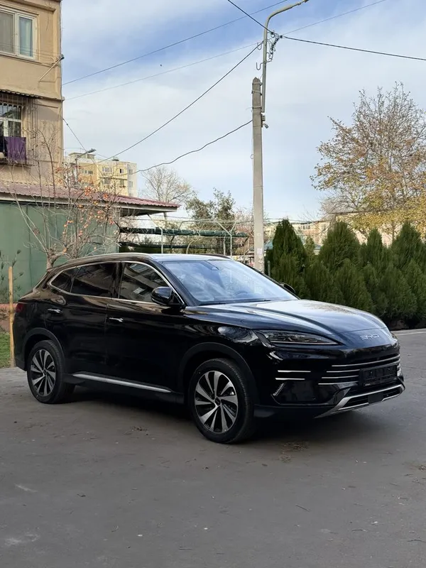Byd chempion Dm-i — фото 2