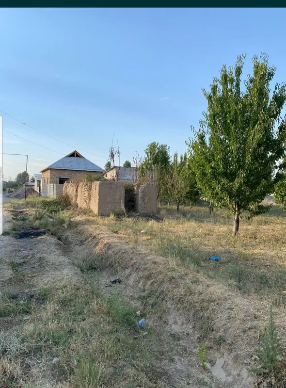 Янгийулда 4 сотих сотилади — фото 2