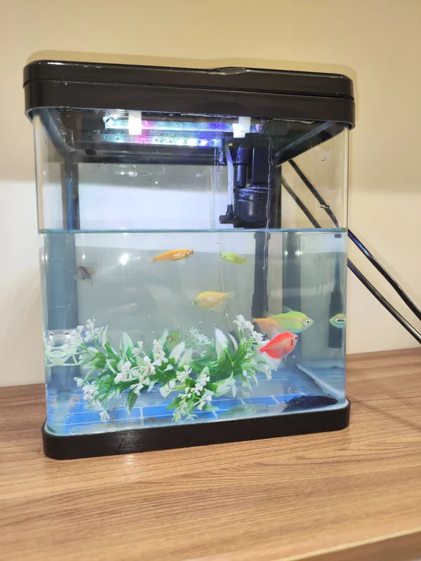 Akvarium va baliqlar 2