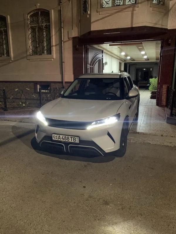 Byd yuan up 2024