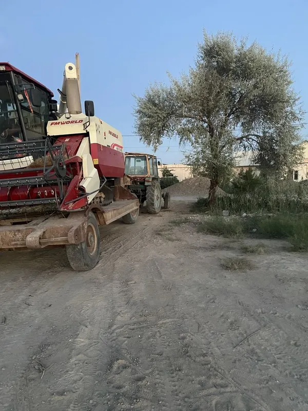Tiraler sotiladi sirochni telga gaplashamiz — фото 2