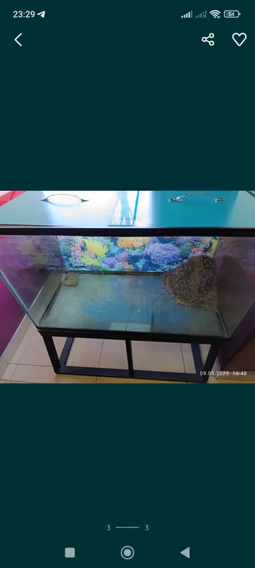 аквариум 2 аквариум 2