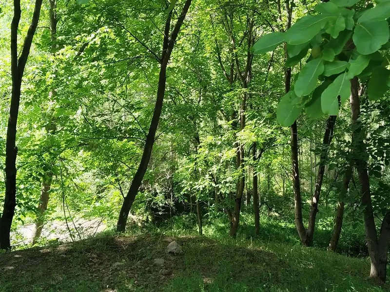 Продается дом.Главасаи — фото 2