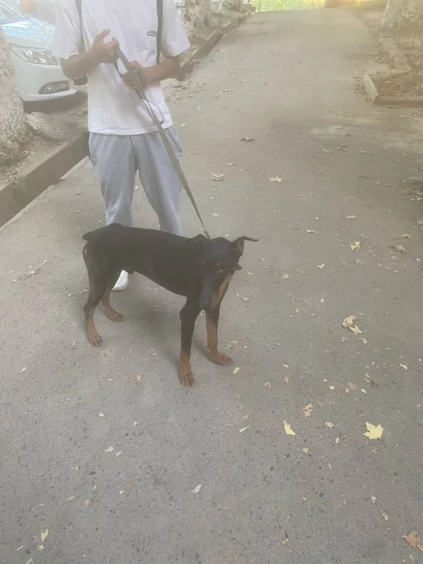 erke lavzi bilan chiroyli 3 erke lavzi bilan chiroyli 3