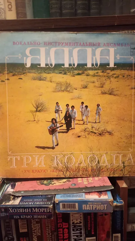 Виниловые пластинки — фото 1