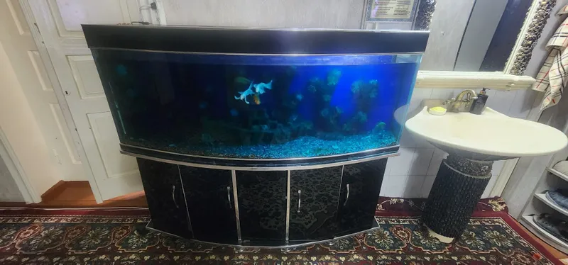 Akvarim sotiladi 400l