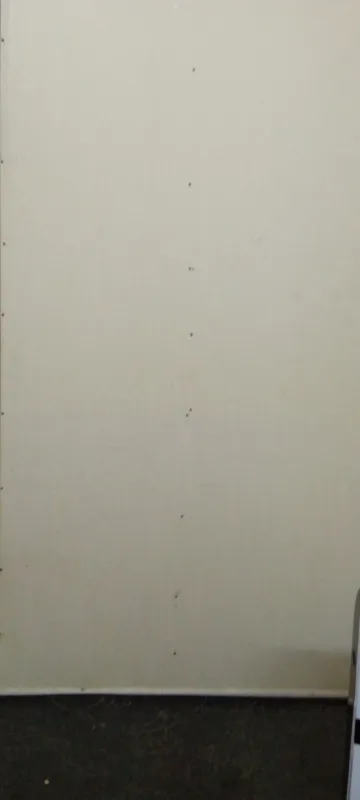 gipsakarton 4 gipsakarton 4