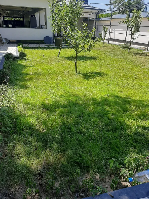 Сдается беседка с бассейном с утра до вечера в сторону Паркента. — фото 9