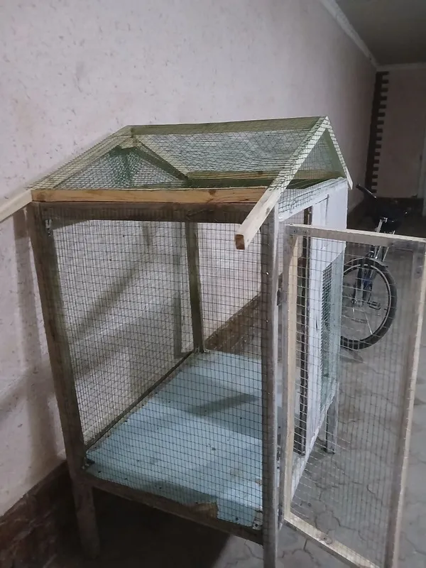 Keletka luboy parandaga mos keladi 3 Keletka luboy parandaga mos keladi 3